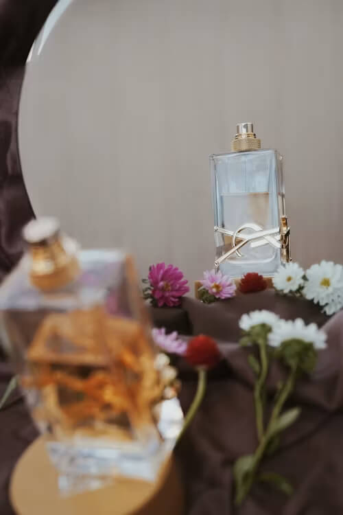 notas de perfumes