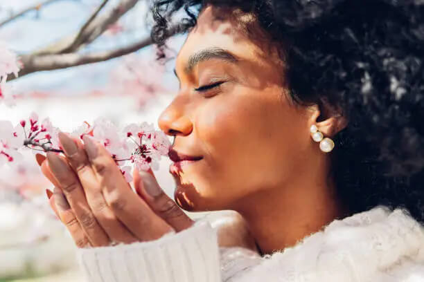 Tendências de Perfumes